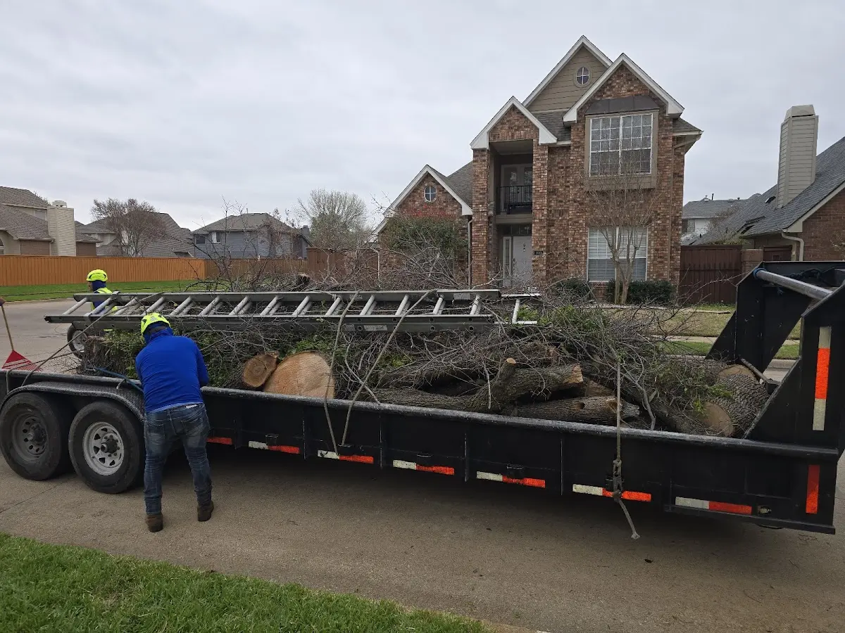 Expert Tree Fertilization with proper safety equipment in Jadwin